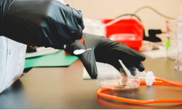 Hands in black gloves in lab setting
