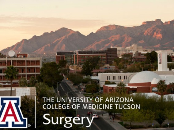 University of Arizona aerial view of health science campus.