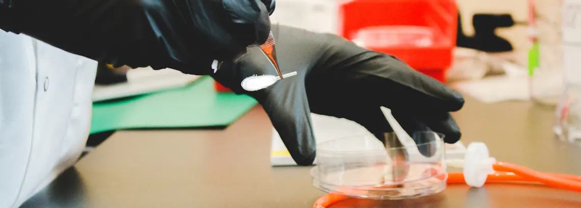 Hands in gloves in research lab.