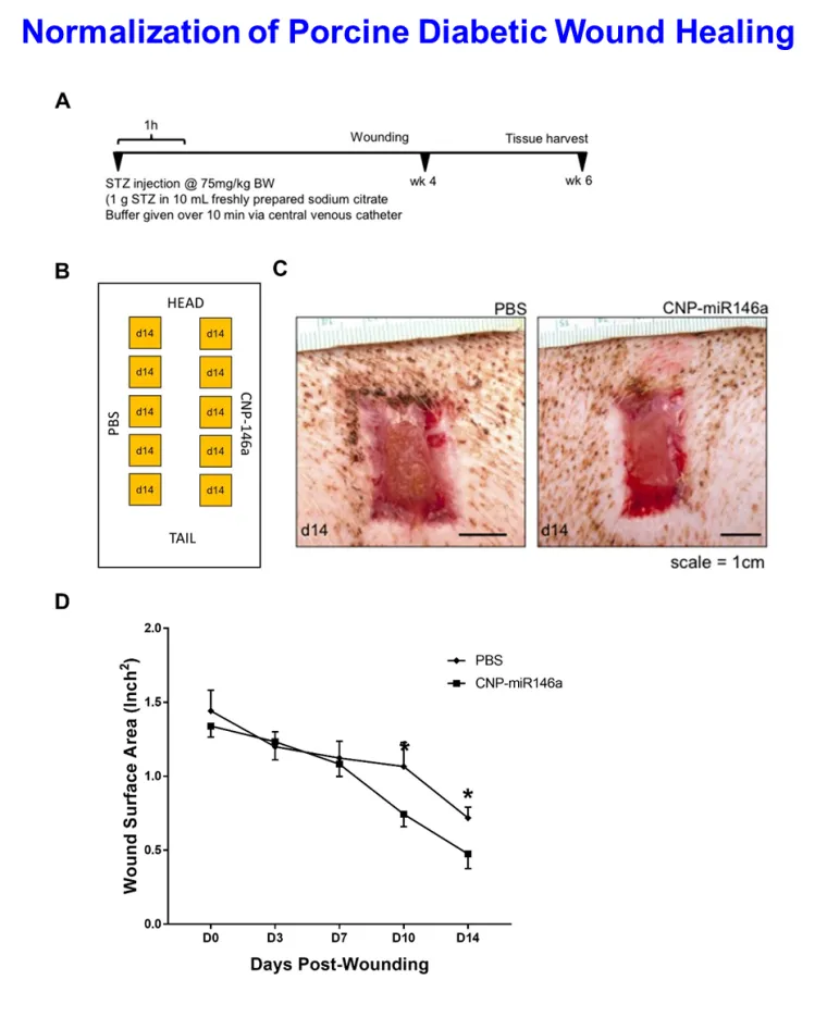 LFRB Figure 2