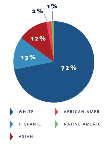 Pie chart displaying stats.