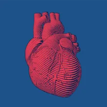 Heart illustration